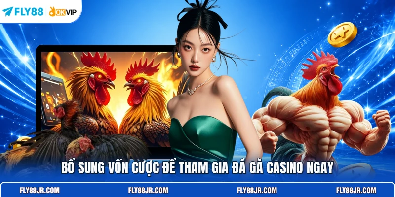 Bổ sung vốn cược để tham gia đá gà casino ngay