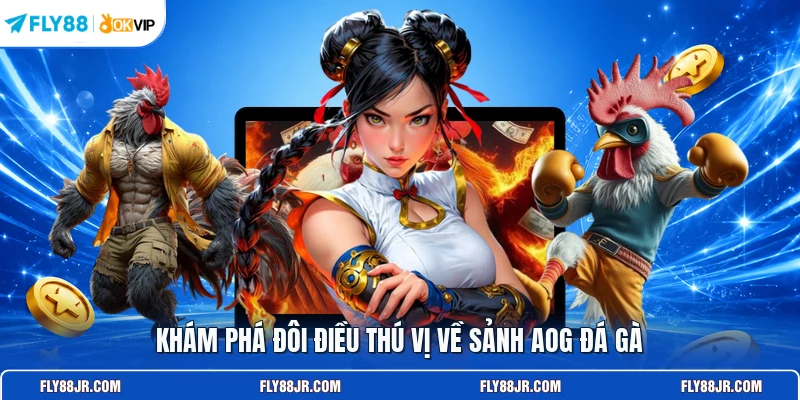 Khám phá đôi điều thú vị về sảnh AOG đá gà
