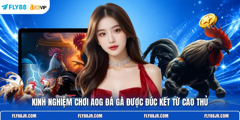 Kinh nghiệm chơi AOG đá gà được đúc kết từ cao thủ 