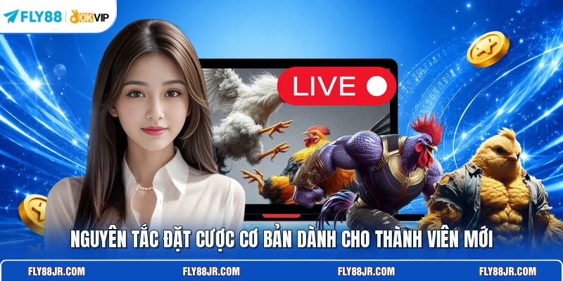Nguyên tắc đặt cược cơ bản dành cho thành viên mới